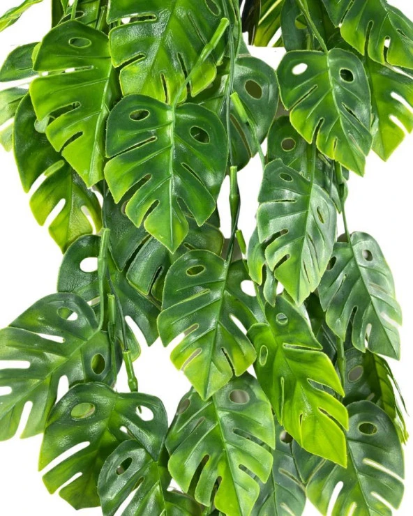Nettenevime Yapay Çiçek Saksıda Sarkan Monstera Deve Tabanı Yapay Sarmaşık Pastel 60cm - Resim 7
