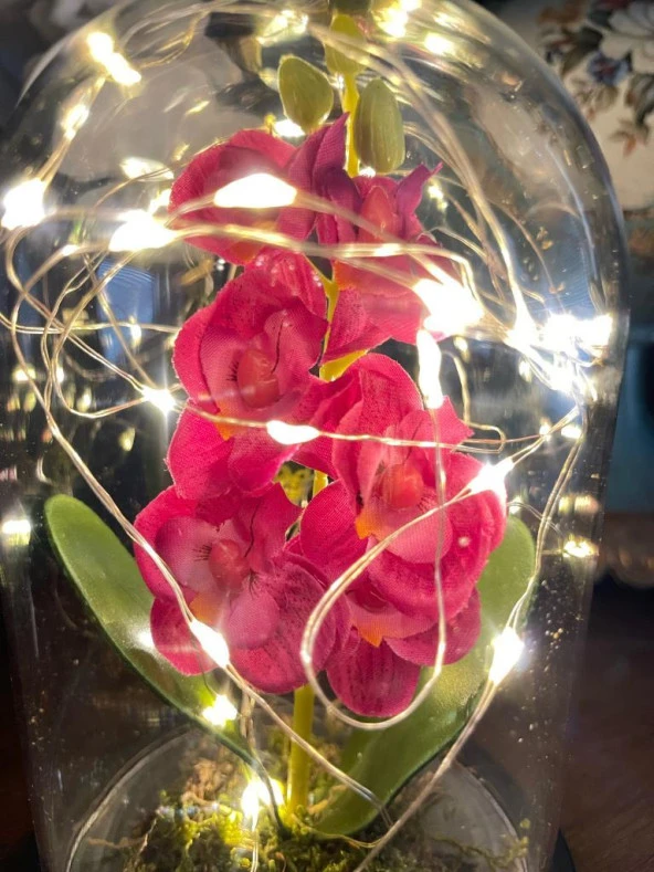 Nettenevime Faunus İçerisinde Işıklı Yapay Fuşya Orkide Anneler Günü Özel Hediye - Resim 3