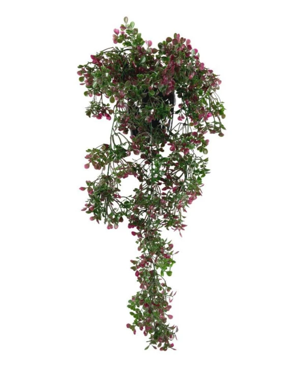 Nettenevime Yapay Çiçek Saksıda Sarkan Bordo Fare Kulağı Şimşir Yapay Sarmaşık Pastel 50cm ürün görseli 1