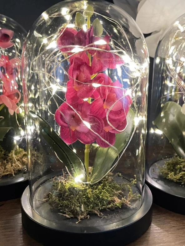 Nettenevime Faunus İçerisinde Işıklı Yapay Fuşya Orkide Anneler Günü Özel Hediye - Resim 4