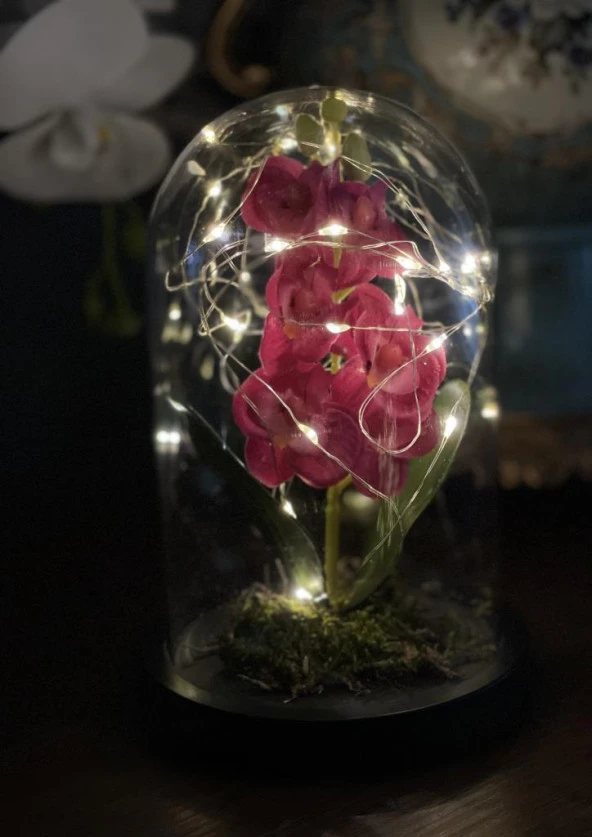 Nettenevime Faunus İçerisinde Işıklı Yapay Fuşya Orkide Anneler Günü Özel Hediye - Resim 5