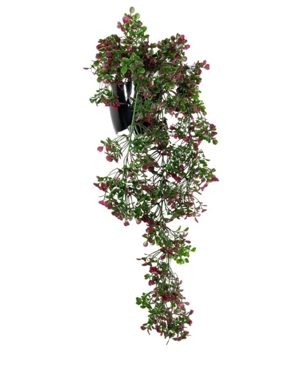 Nettenevime Yapay Çiçek Saksıda Sarkan Bordo Fare Kulağı Şimşir Yapay Sarmaşık Pastel 50cm - Resim 3