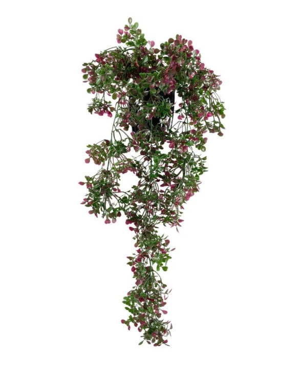 Nettenevime Yapay Çiçek Saksıda Sarkan Bordo Fare Kulağı Şimşir Yapay Sarmaşık Pastel 50cm - Resim 4