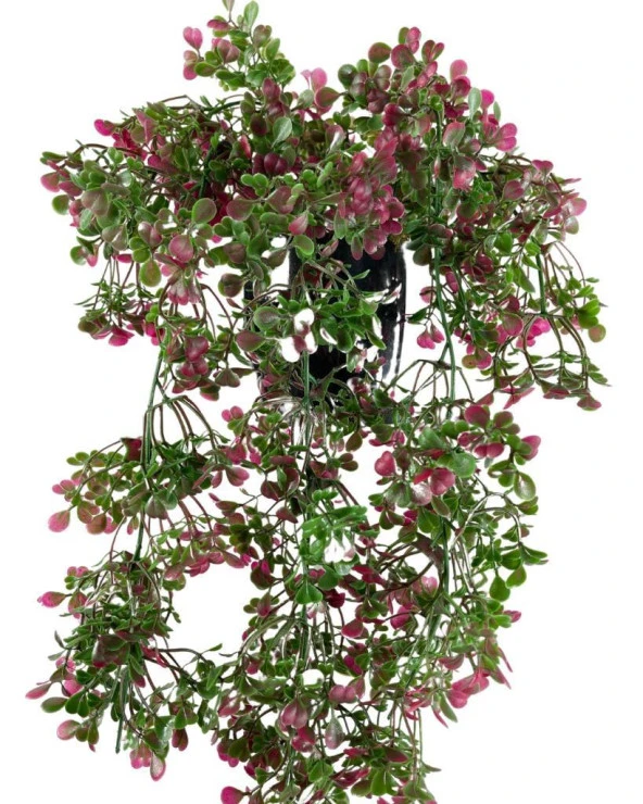 Nettenevime Yapay Çiçek Saksıda Sarkan Bordo Fare Kulağı Şimşir Yapay Sarmaşık Pastel 50cm - Resim 6
