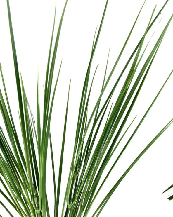 Nettenevime Yapay Çiçek Pastel Yeşil Grass Saz 50cm Bitki Yapay Çiçek Dekor Çiçeği Uzun Ot - 2