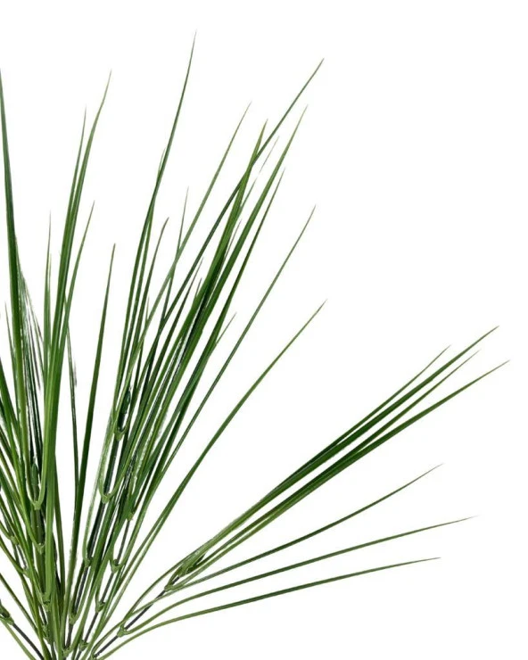 Nettenevime Yapay Çiçek Pastel Yeşil Grass Saz 50cm Bitki Yapay Çiçek Dekor Çiçeği Uzun Ot - 3