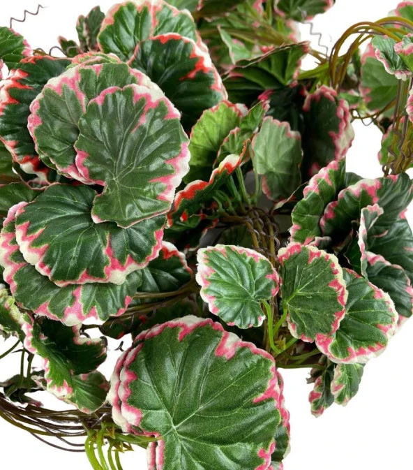 Nettenevime Yapay Sarmaşık Dolanabilen Pembe Çizgili Sardunya Yaprağı 5 li Paket 230cm Dekoratif Yapay Çiçek - Resim 2