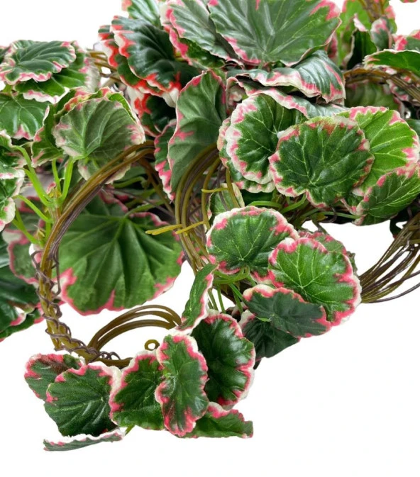 Nettenevime Yapay Sarmaşık Dolanabilen Pembe Çizgili Sardunya Yaprağı 5 li Paket 230cm Dekoratif Yapay Çiçek - Resim 3