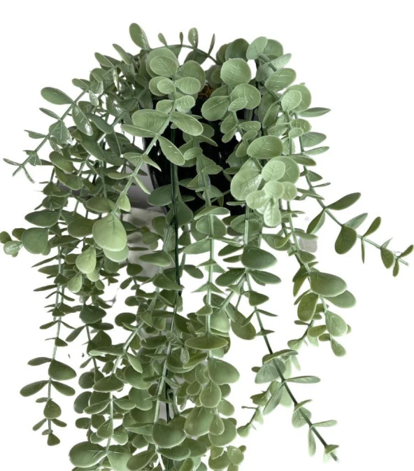 Nettenevime Yapay Çiçek Saksıda Sarkan Şimşir Mat Pastel Okaliptus Yapay Sarmaşık Pastel 50cm - Resim 5