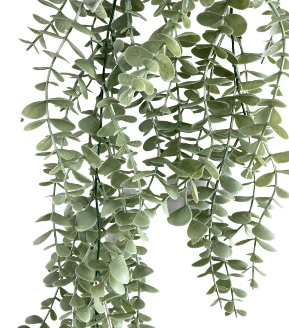 Nettenevime Yapay Çiçek Saksıda Sarkan Şimşir Mat Pastel Okaliptus Yapay Sarmaşık Pastel 50cm - Resim 6