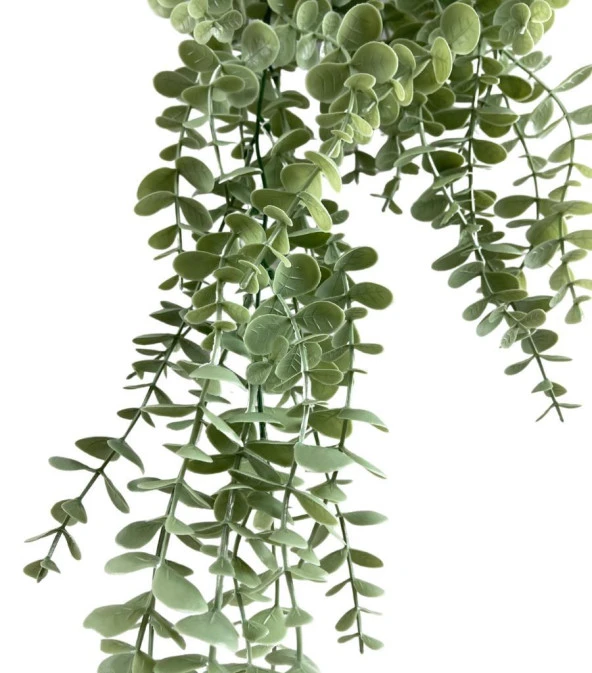 Nettenevime Yapay Çiçek Saksıda Sarkan Şimşir Mat Pastel Okaliptus Yapay Sarmaşık Pastel 50cm - Resim 7