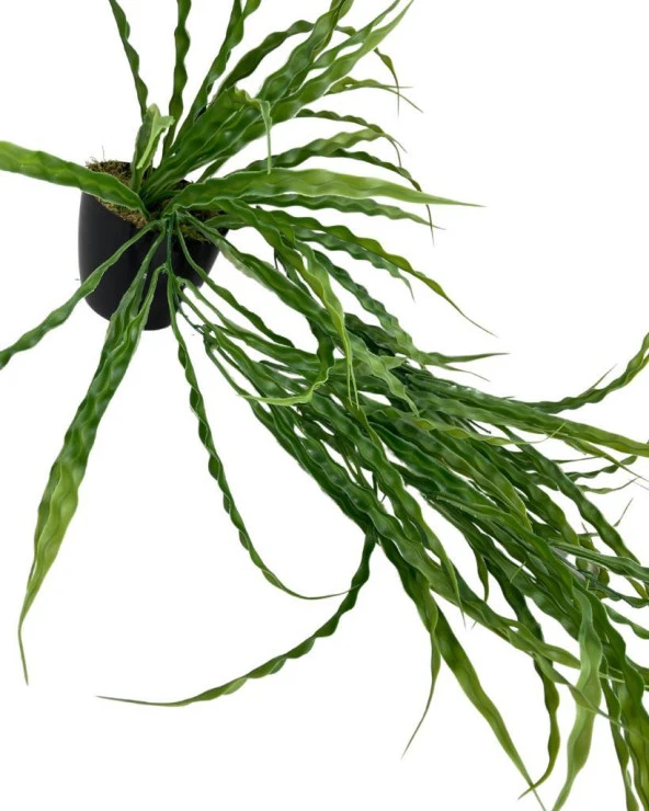 Nettenevime Yapay Çiçek Saksıda Sarkan Yeşil Kıvrımlı Saz 70cm - Resim 3