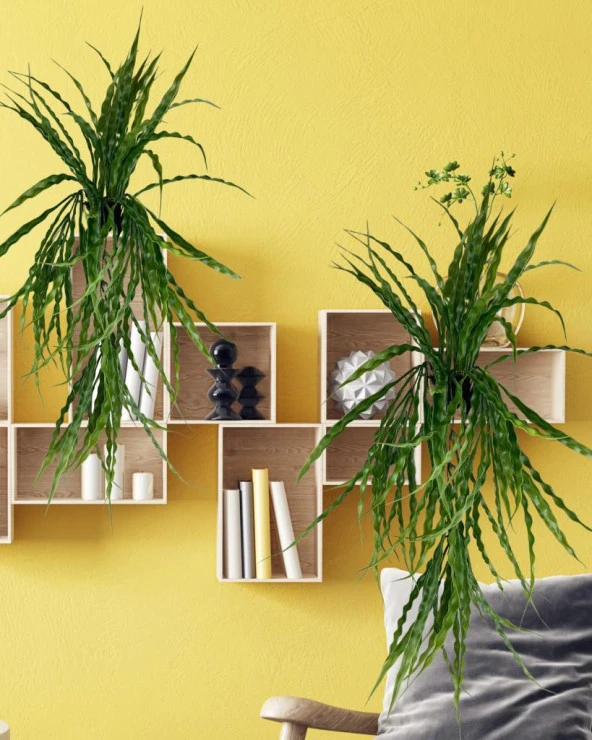 Nettenevime Yapay Çiçek Saksıda Sarkan Yeşil Kıvrımlı Saz 70cm - Resim 7