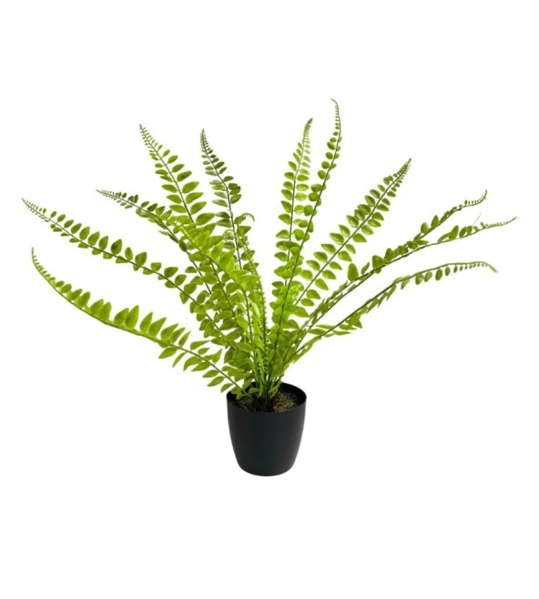 Nettenevime Yapay Çiçek Saksılı Havai Fern Sıkas 15 Yapraklı 50*40cm Yapay Bitki Islak Doku