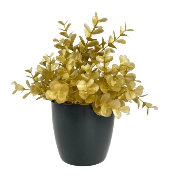 Nettenevime Yapay Çiçek Gold Renk Şimşir Siyah Saksıda Siyah Plastik Saksılı Dekoratif Süs Çiçeği ürün görseli