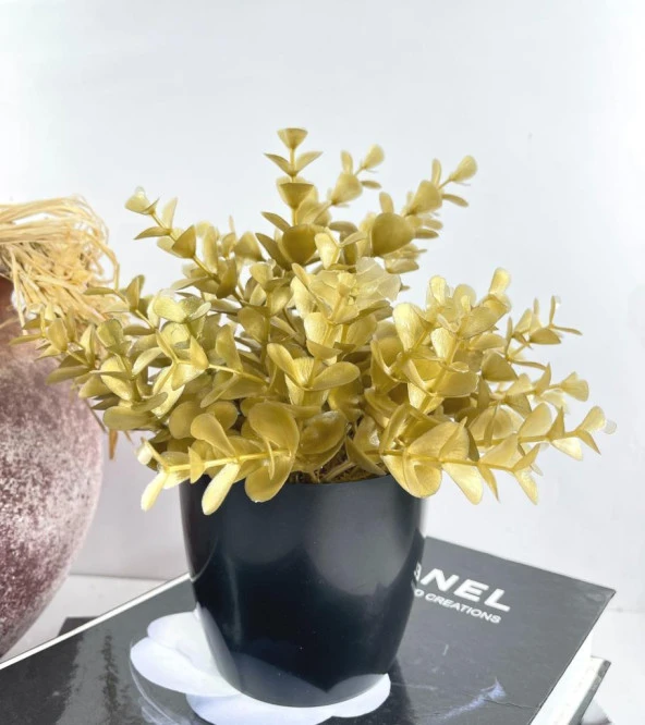 Nettenevime Yapay Çiçek Gold Renk Şimşir Siyah Saksıda Siyah Plastik Saksılı Dekoratif Süs Çiçeği - Resim 3