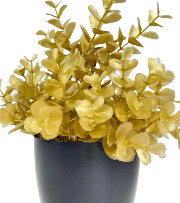 Nettenevime Yapay Çiçek Gold Renk Şimşir Siyah Saksıda Siyah Plastik Saksılı Dekoratif Süs Çiçeği - Resim 4