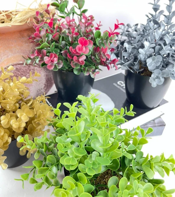 Nettenevime Yapay Çiçek Yeşil Renk Şimşir Siyah Saksıda Siyah Plastik Saksılı Dekoratif Süs Çiçeği - Resim 3