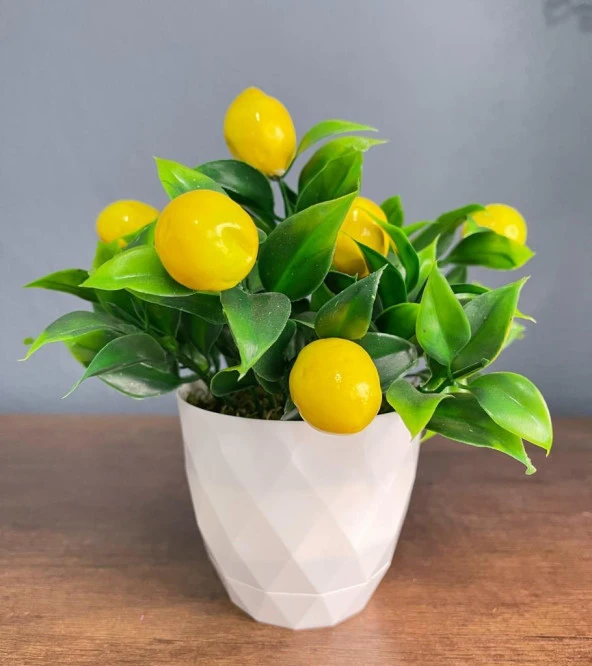 Nettenevime Yapay Çiçek Beyaz Saksıda Limon Demeti Dekoratif Masa Çiçeği - Resim 6