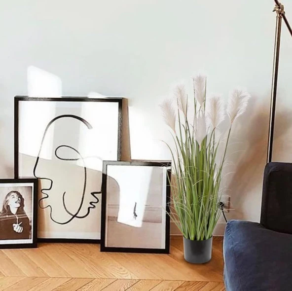 Nettenevime Yapay Çiçek Saksılı Salon Bitkisi Beyaz Püskül Grass Panpas - Resim 4