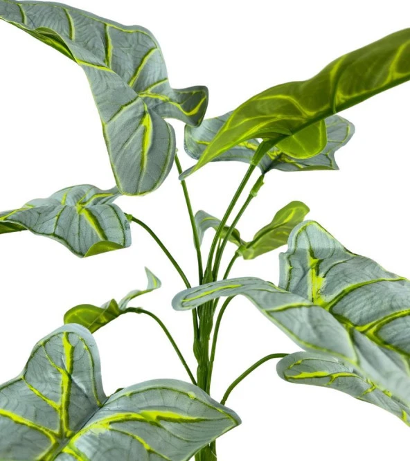 Nettenevime Yapay Çiçek Fil Kulağı Açık Yeşil Islak Doku Salon Bitkisi Siyah Saksıda 40cm 9 Yapraklı - Resim 4