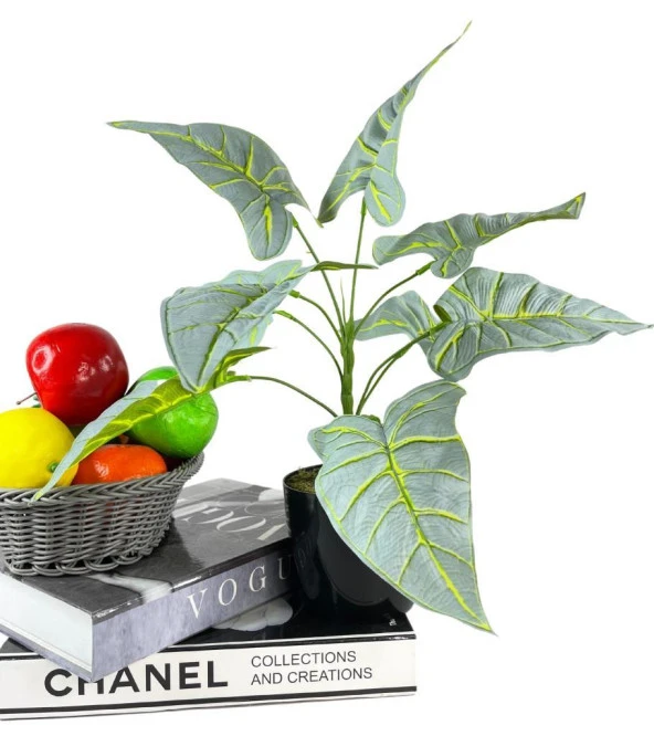 Nettenevime Yapay Çiçek Fil Kulağı Açık Yeşil Islak Doku Salon Bitkisi Siyah Saksıda 40cm 9 Yapraklı - Resim 6