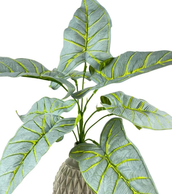 Nettenevime Yapay Çiçek Fil Kulağı Açık Yeşil Islak Doku Salon Bitkisi 35cm 9 Yapraklı - Resim 7