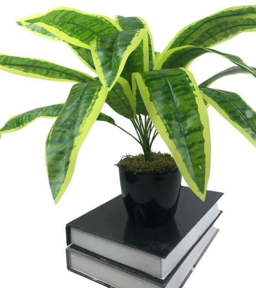 Yapay Çiçek Masengena Sansevieria 12 Dal 40*50cm Salon Çiçeği Plastik Siyah Saksılı Yapay Bitki - 2