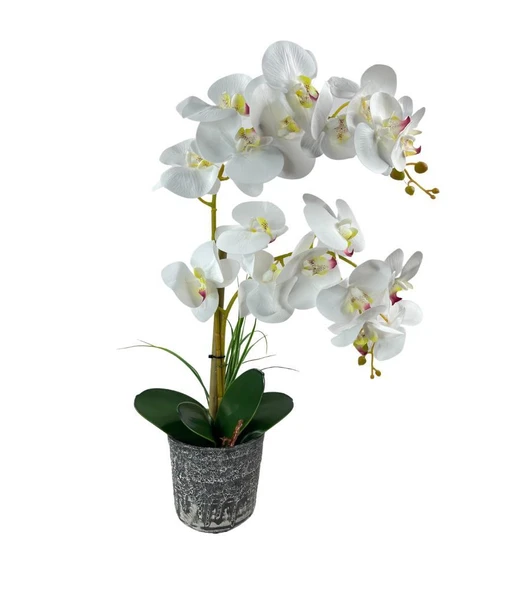 Nettenevime Yapay Çiçek 2li Beyaz Islak Orkide Seramik Saksıda Orkide 60cm - Resim 8