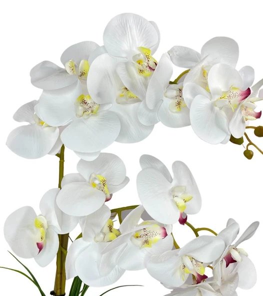 Nettenevime Yapay Çiçek 2li Beyaz Islak Orkide Seramik Saksıda Orkide 60cm - Resim 5