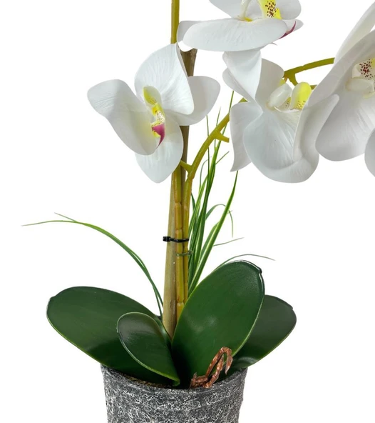 Nettenevime Yapay Çiçek 2li Beyaz Islak Orkide Seramik Saksıda Orkide 60cm - Resim 6