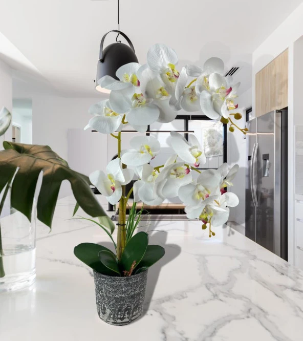 Nettenevime Yapay Çiçek 2li Beyaz Islak Orkide Seramik Saksıda Orkide 60cm - Resim 2