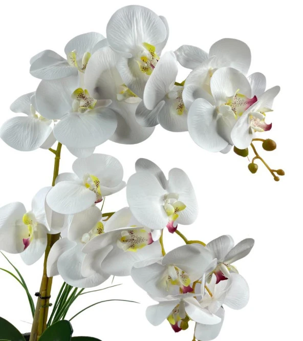 Nettenevime Yapay Çiçek 2li Beyaz Islak Orkide Seramik Saksıda Orkide 60cm - Resim 7