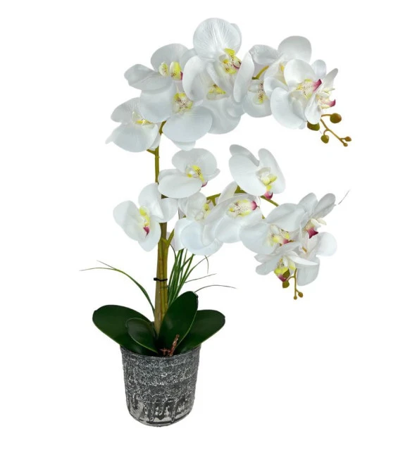 Nettenevime Yapay Çiçek 2li Beyaz Islak Orkide Seramik Saksıda Orkide 60cm - Resim 9