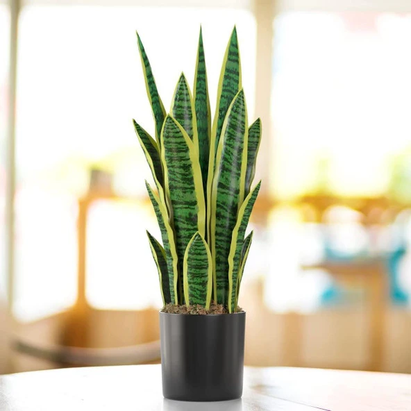 Nettenevime Yapay Çiçek Saksılı Yeşil Kılıç Çiçeği Dal 68cm Salon Çiçeği Metal Mat Siyah Saksılı Yapay Bitki - Resim 8