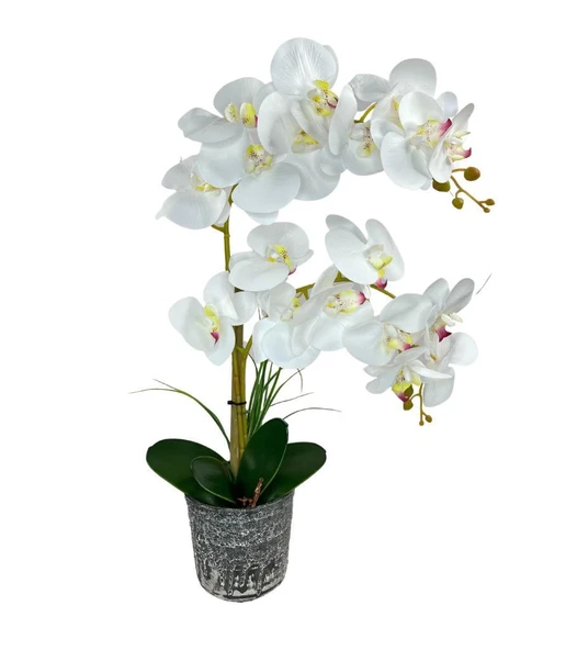 Nettenevime Yapay Çiçek 2li Beyaz Islak Orkide Seramik Saksıda Orkide 60cm ürün görseli 1