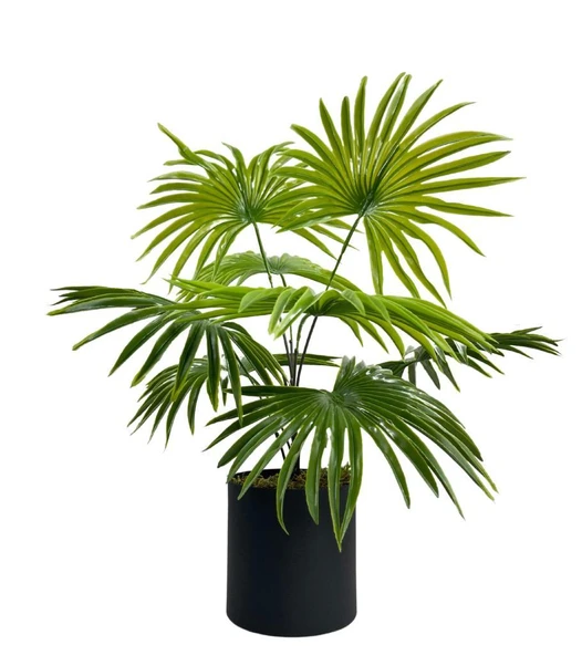 Yapay Çiçek Yelpaze Palmiye 8 Dal 50*40cm Salon Çiçeği Metal Mat Siyah Saksılı Yapay Bitki