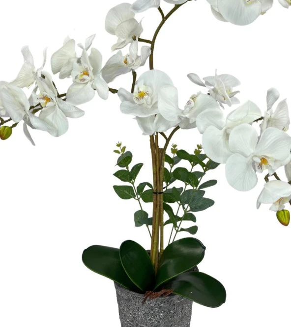 Nettenevime Yapay Çiçek 3lü Beyaz Orkide Seramik Saksıda Orkide 60cm - 2