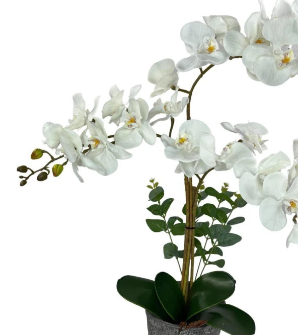 Nettenevime Yapay Çiçek 3lü Beyaz Orkide Seramik Saksıda Orkide 60cm - 3