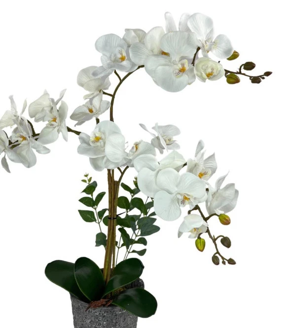 Nettenevime Yapay Çiçek 3lü Beyaz Orkide Seramik Saksıda Orkide 60cm - 4