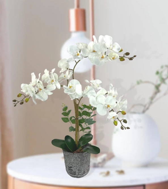 Nettenevime Yapay Çiçek 3lü Beyaz Orkide Seramik Saksıda Orkide 60cm - 6
