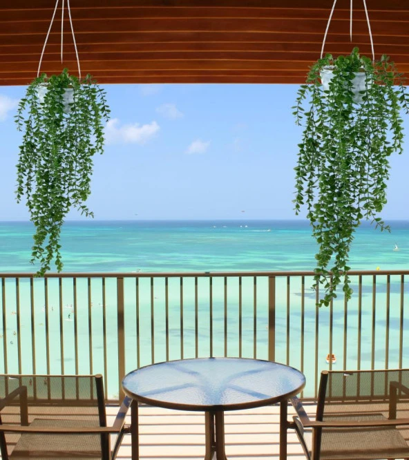 Nettenevime Yapay Çiçek Sarkan Beyaz Balkon Saksısında Şimşir Okaliptus - Resim 2