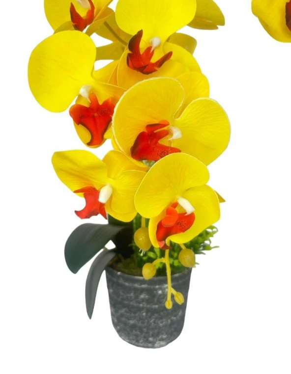 Nettenevime Yapay Çiçek 2li Sarı Kırmızı Islak Orkide Seramik Saksıda Orkide 60cm - Resim 3