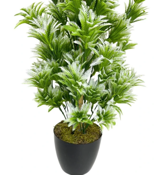 Nettenevime Yapay Çiçek Siyah Saksıda Yeşil Beyaz Sıkas Ağacı 55cm - Resim 3