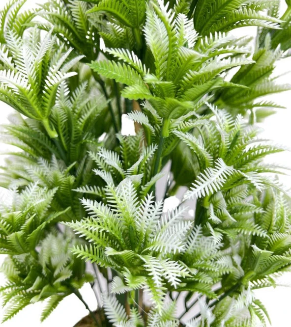 Nettenevime Yapay Çiçek Siyah Saksıda Yeşil Beyaz Sıkas Ağacı 55cm - Resim 4