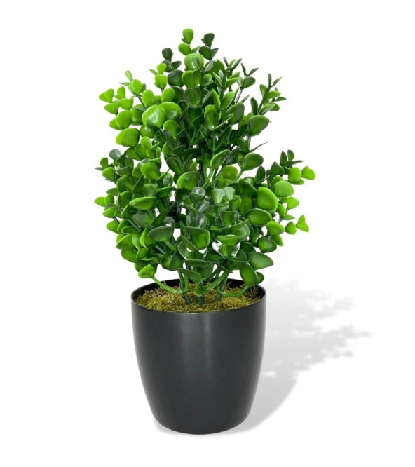 Nettenevime Yapay Çiçek Siyah Saksıda Jumbo Şimşir Dekoratif Süs Çiçeği ürün görseli