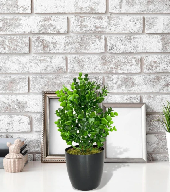 Nettenevime Yapay Çiçek Siyah Saksıda Jumbo Şimşir Dekoratif Süs Çiçeği - Resim 2