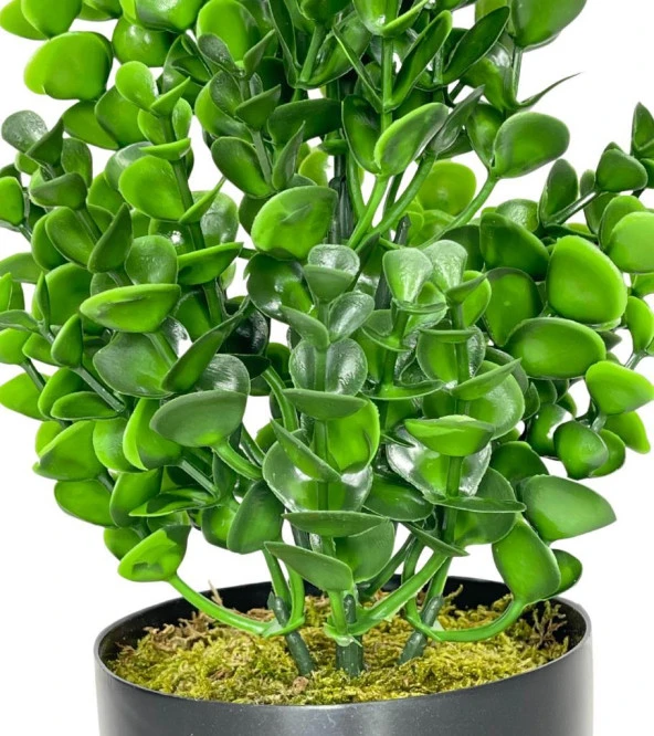 Nettenevime Yapay Çiçek Siyah Saksıda Jumbo Şimşir Dekoratif Süs Çiçeği - Resim 4