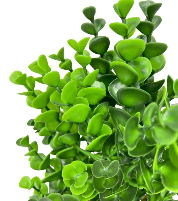 Nettenevime Yapay Çiçek Siyah Saksıda Jumbo Şimşir Dekoratif Süs Çiçeği - Resim 5