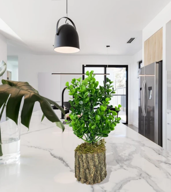 Nettenevime Yapay Çiçek Doğal Kütük Odun Saksıda Jumbo Şimşir Okaliptus Masa Çiçeği - Resim 2